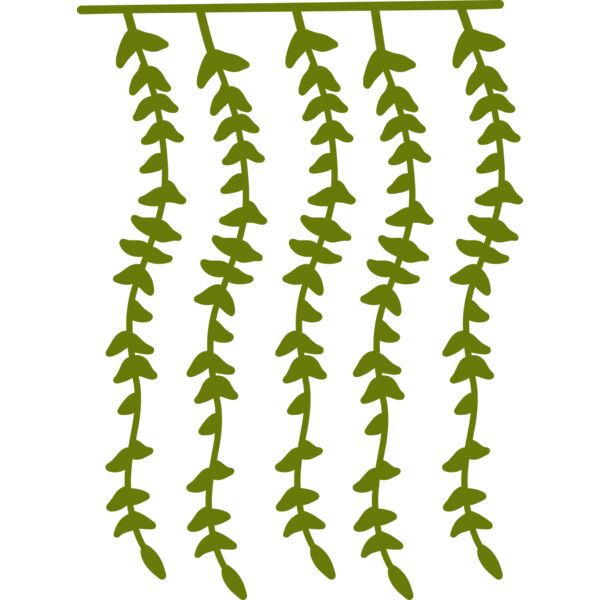 Hanging Plants 2 Thumbnail